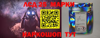 прущие грибы Кузнецк