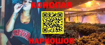 прущие грибы Кузнецк
