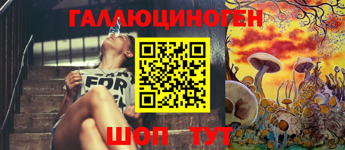 Псилоцибиновые грибы Psilocybine cubensis  продажа наркотиков  Учалы  Галлюциногенные грибы GOLDEN TEACHER 